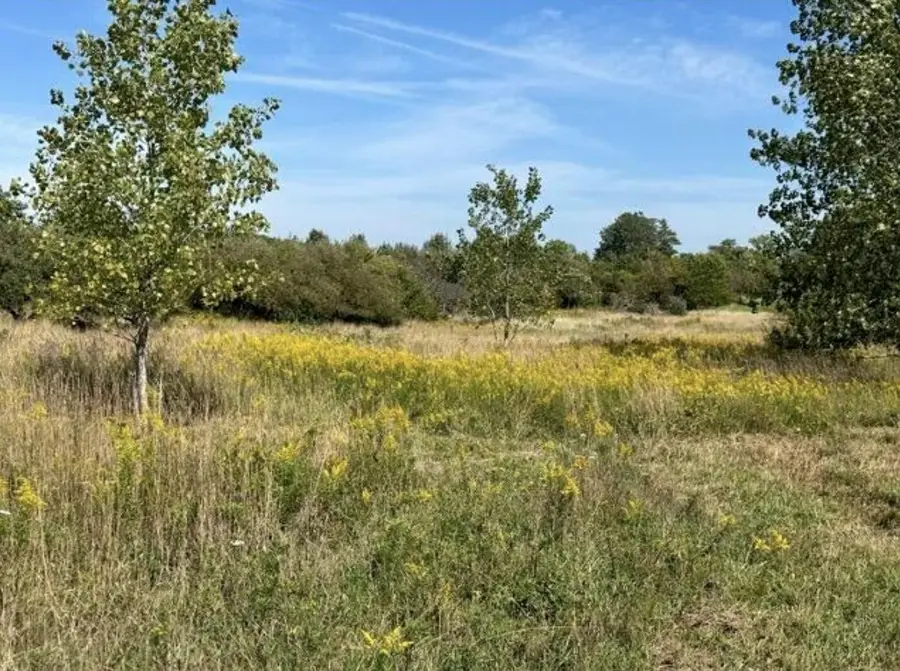 V/L Rolling Hills Drive, Ganges, MI 49408 - #3
