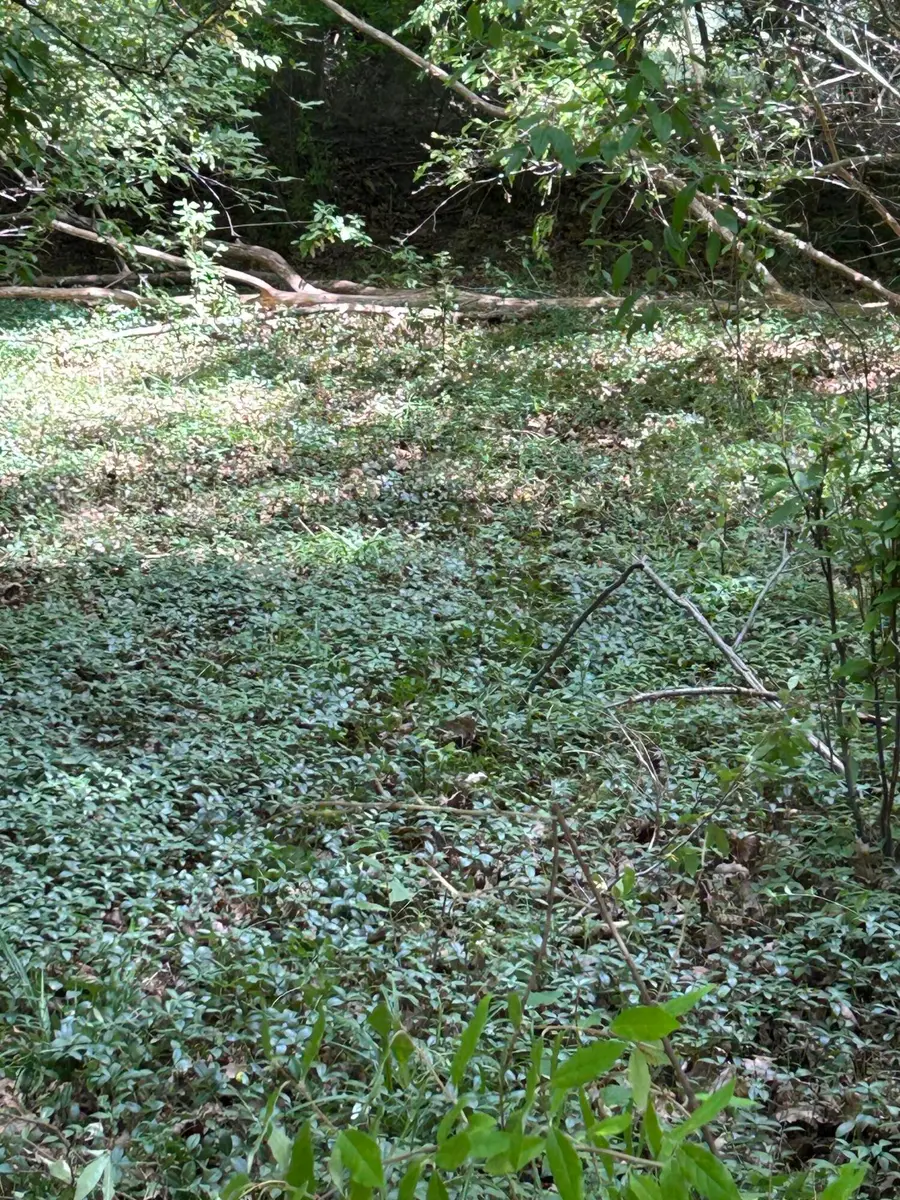 Longbridge West Lot 9, Pentwater, MI 49449 - #2