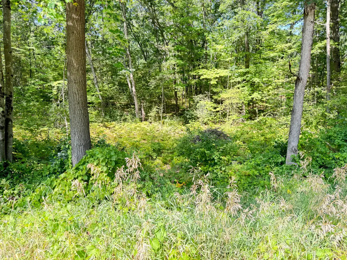 8835 N Bingham Avenue, Bitely, MI 49309 - #1