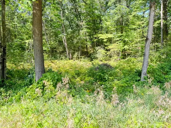 8835 N Bingham Avenue, Bitely, MI 49309
