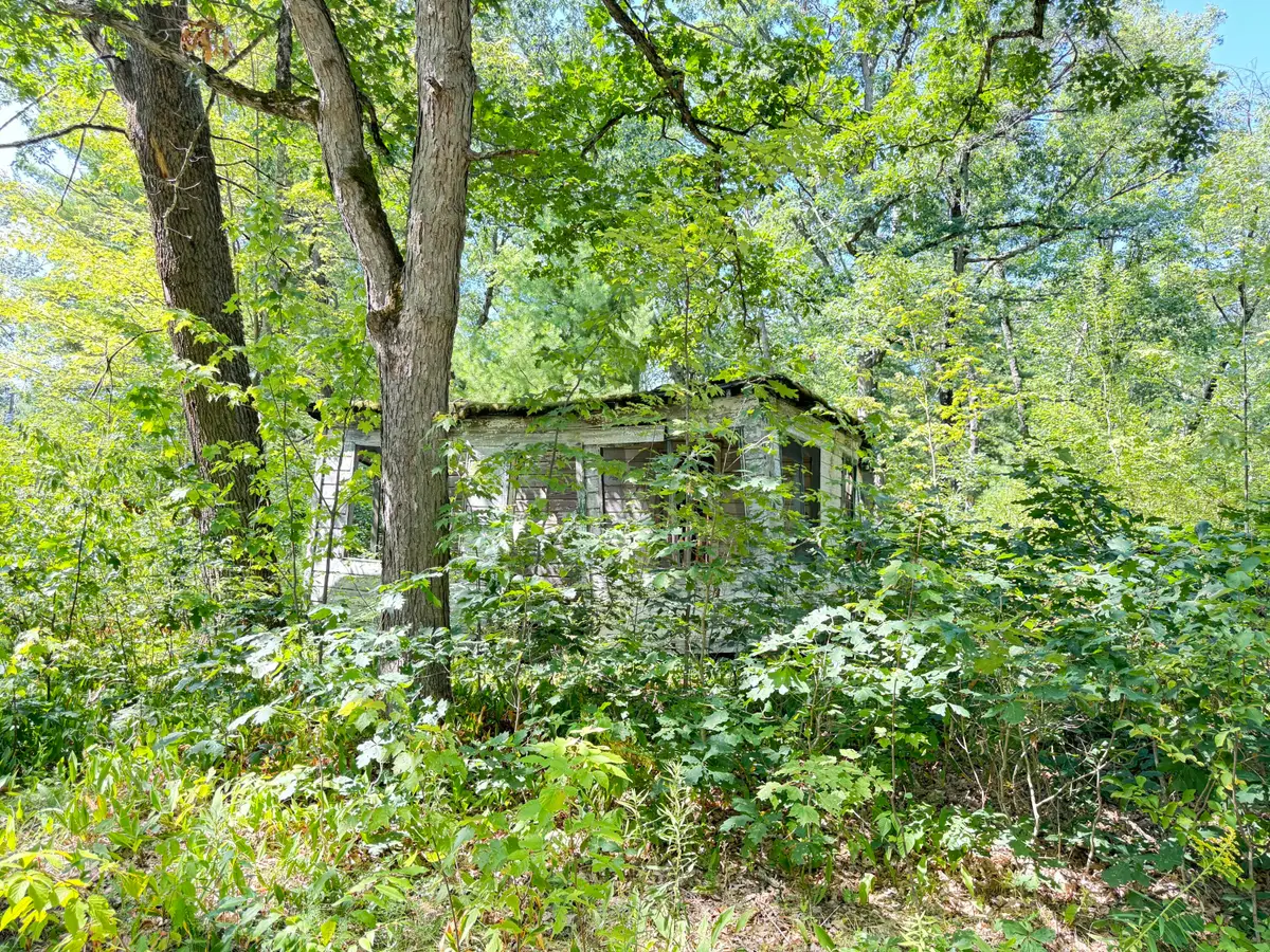 2227 W Oakwood Boulevard, Bitely, MI 49309 - #1