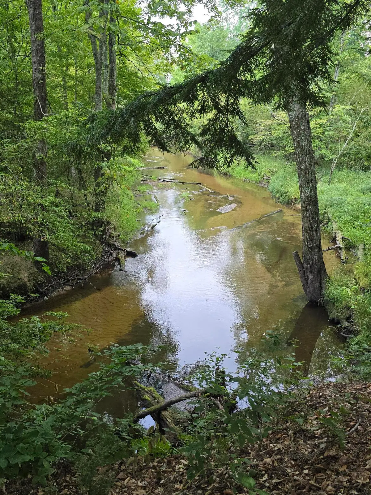 610 W Millerton Road, Scottville, MI 49454 - #1