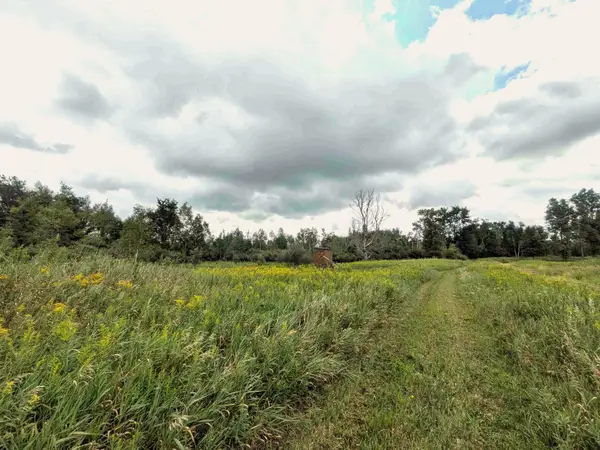 7541 E Bevens Road, Kingston, MI 48741
