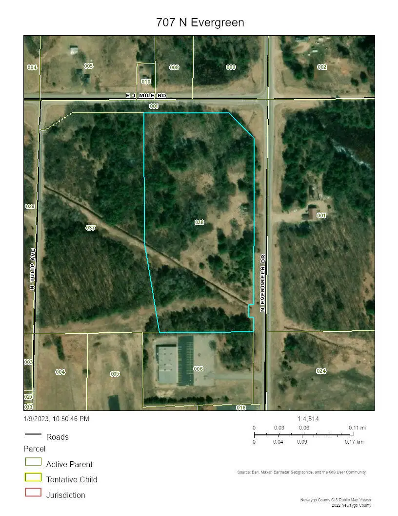 707 N Evergreen Drive, White Cloud, MI 49349 - #1