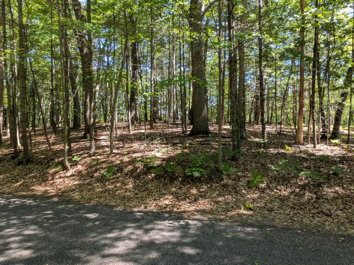Ottawa Lane #Lot 50, Pentwater, MI 49449 - #1