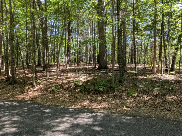 Ottawa Lane #Lot 50, Pentwater, MI 49449