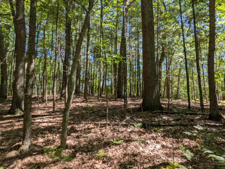 Ottawa Lane #Lot 50, Pentwater, MI 49449 - #2