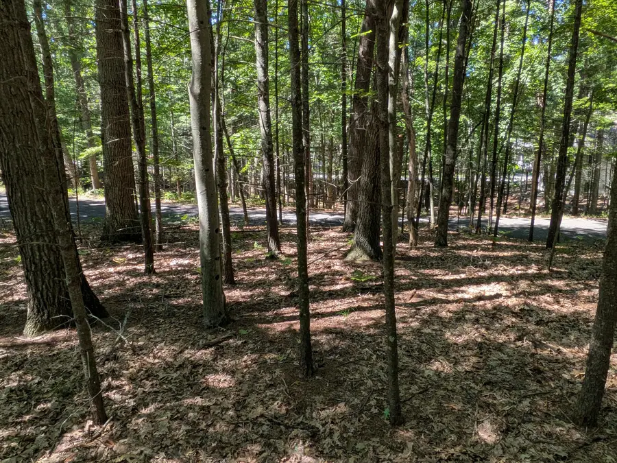 Ottawa Lane #Lot 50, Pentwater, MI 49449 - #3
