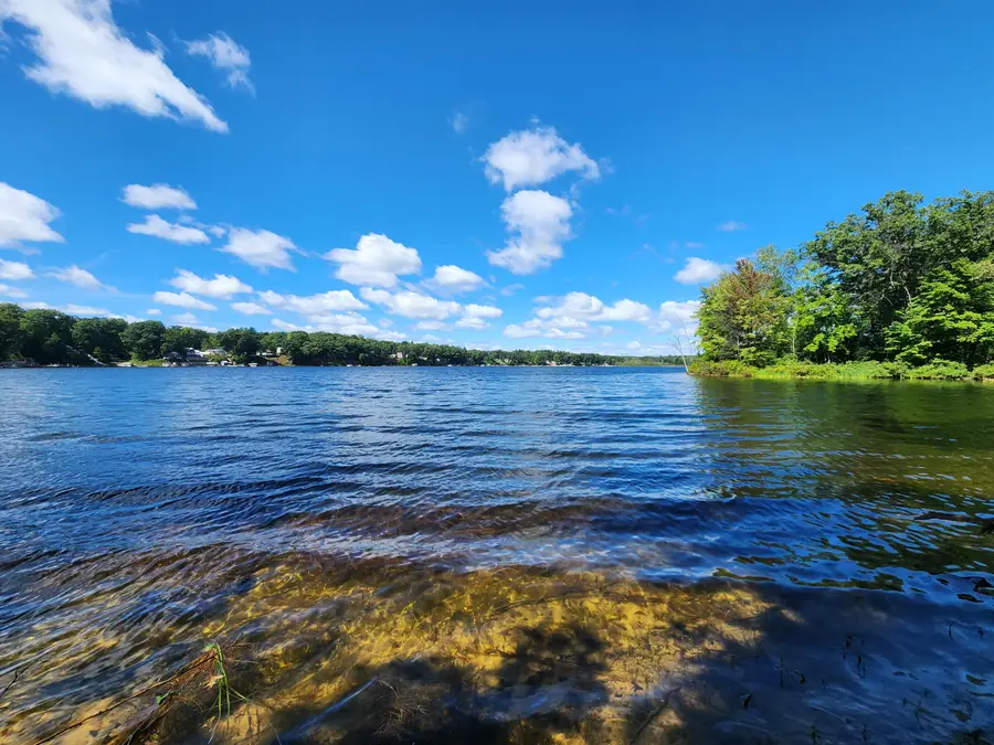 347 W Foss Avenue, White Cloud, MI 49349 - #2