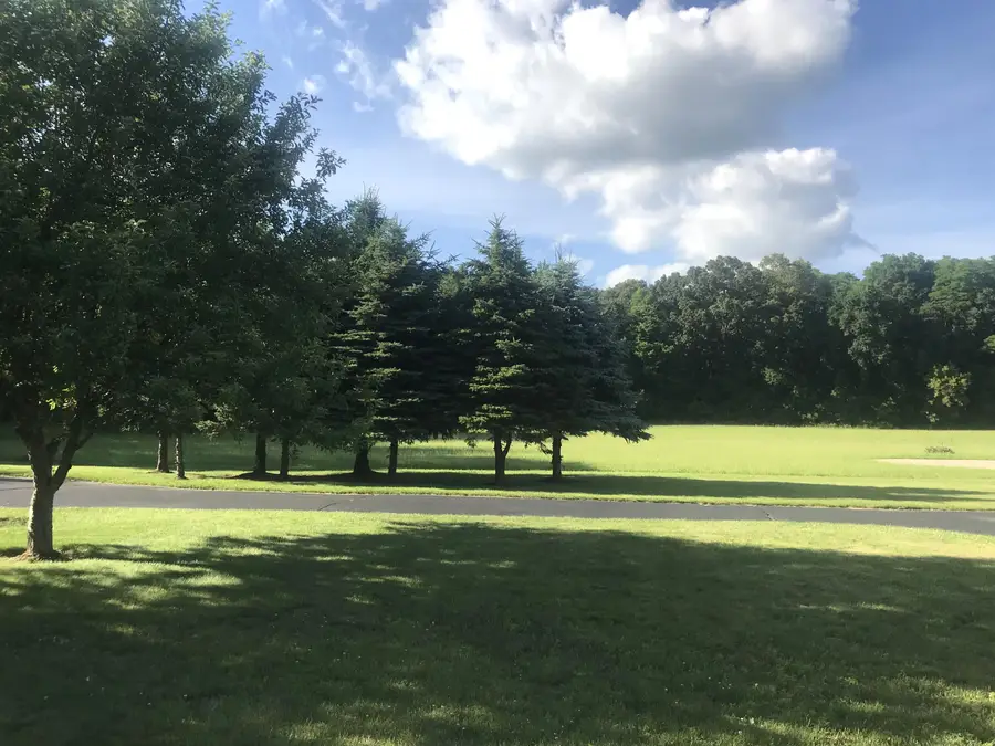 223 Leo Drive, Burlington, MI 49029 - #3