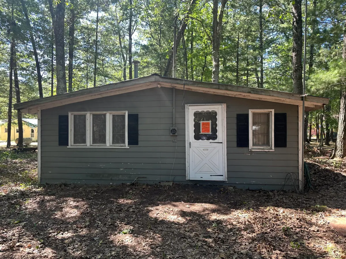 9655 S Beechnut Avenue, Baldwin, MI 49304 - #1
