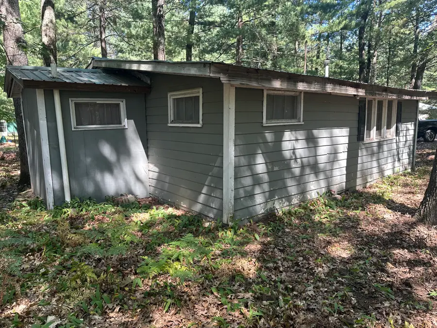 9655 S Beechnut Avenue, Baldwin, MI 49304 - #3