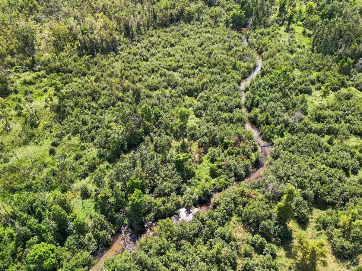 VL W Woodruff Road, Weidman, MI 48893 - #1