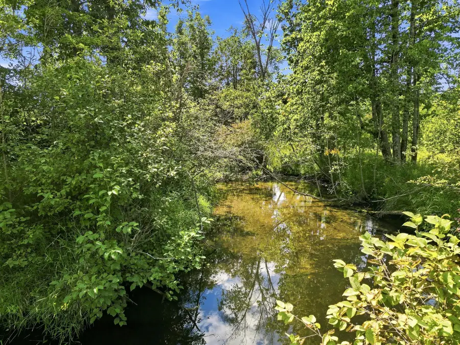 VL W Woodruff Road, Weidman, MI 48893 - #3