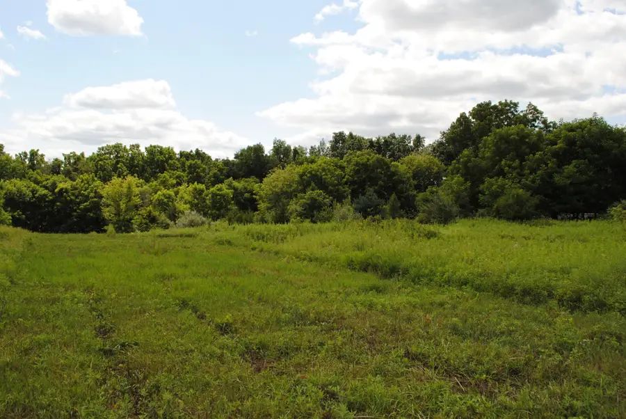 3173 Luna Drive, Dexter, MI 48130 - #3