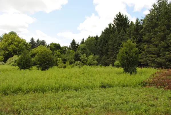 3199 Luna Drive, Dexter, MI 48130