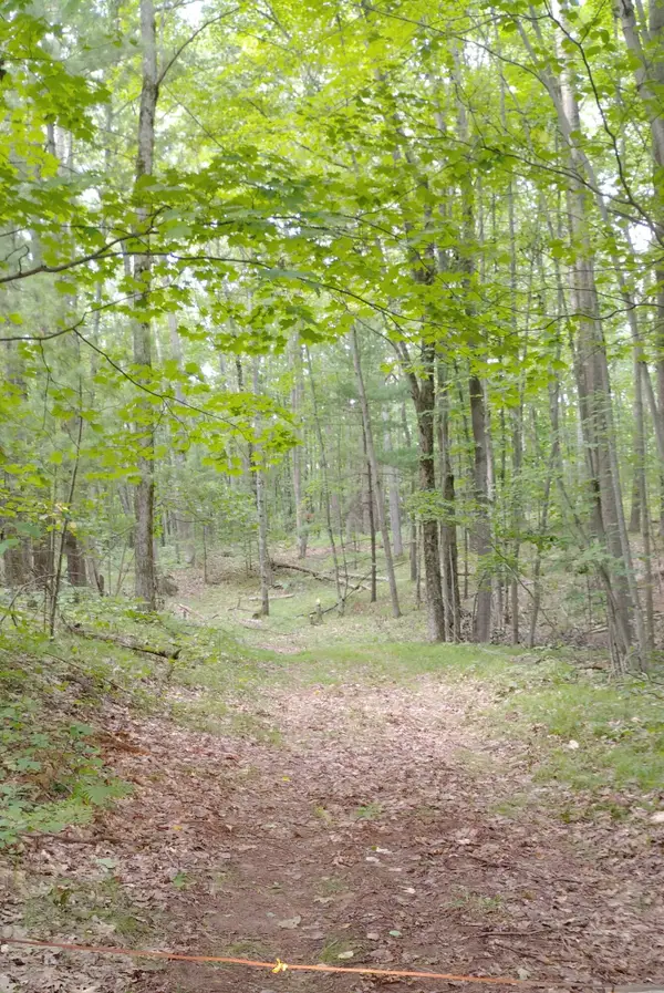 3+/- Acres S Frank Smith Road, Chase, MI 49623