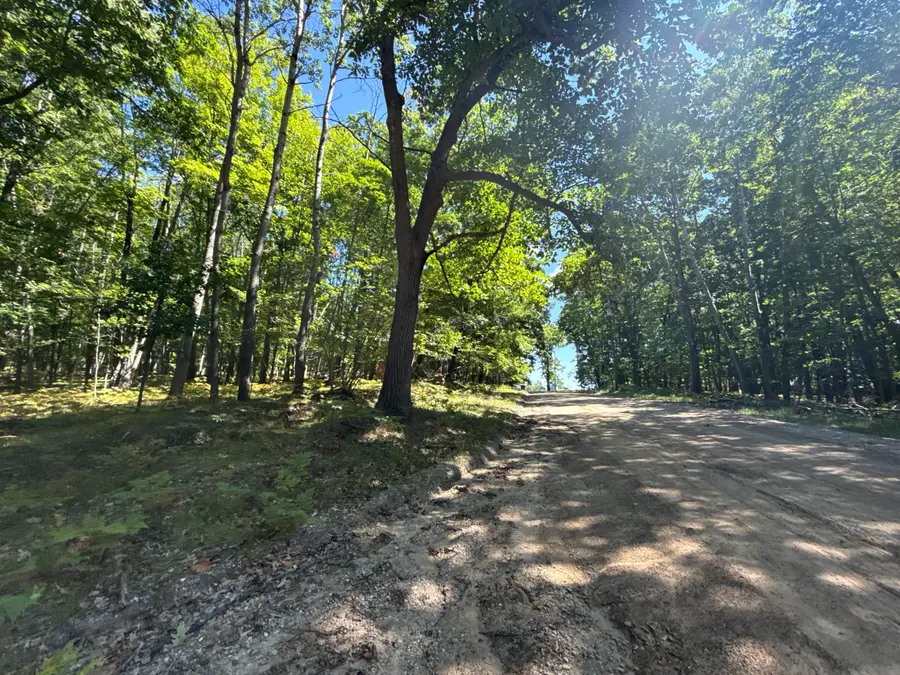 12090 Dubois Drive, Stanwood, MI 49346 - #3