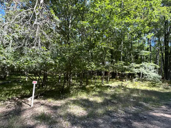 12060 Chinook Drive #408, Stanwood, MI 49346