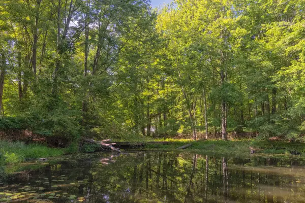6985 124th Avenue #Parcel C, Fennville, MI 49408