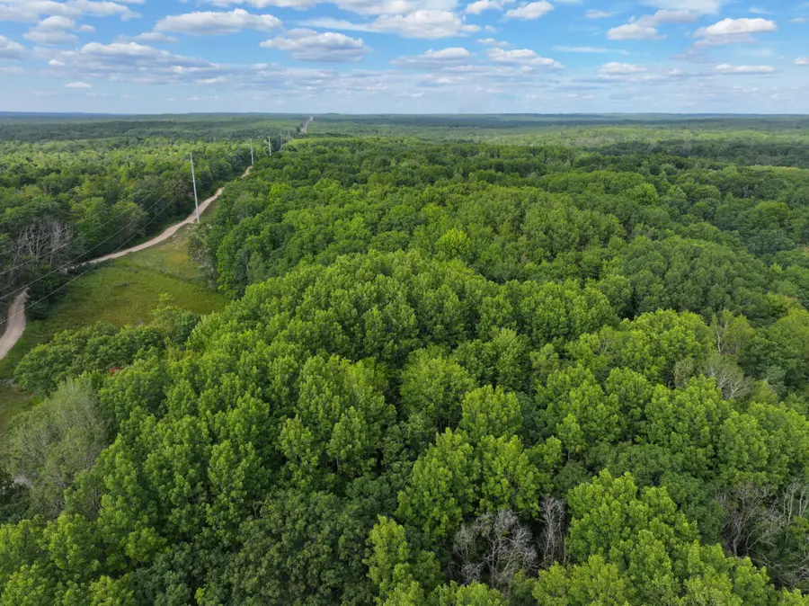 V/L 13.06A E 84th St, Reed City, MI 49677 - #2