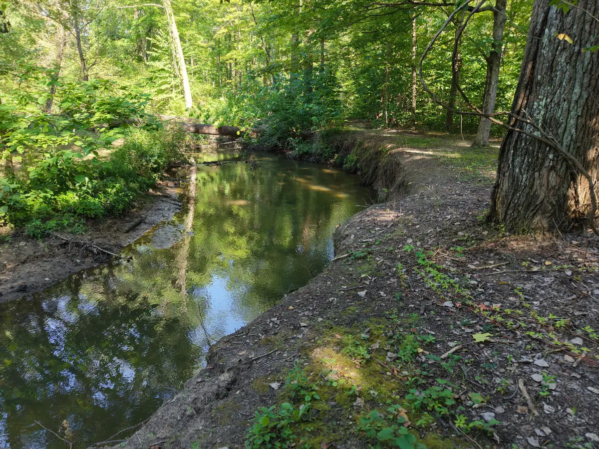 8040 W Martin Road, Three Oaks, MI 49128 - #1