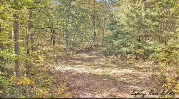 10381 Woodland Lane, Newaygo, MI 49337