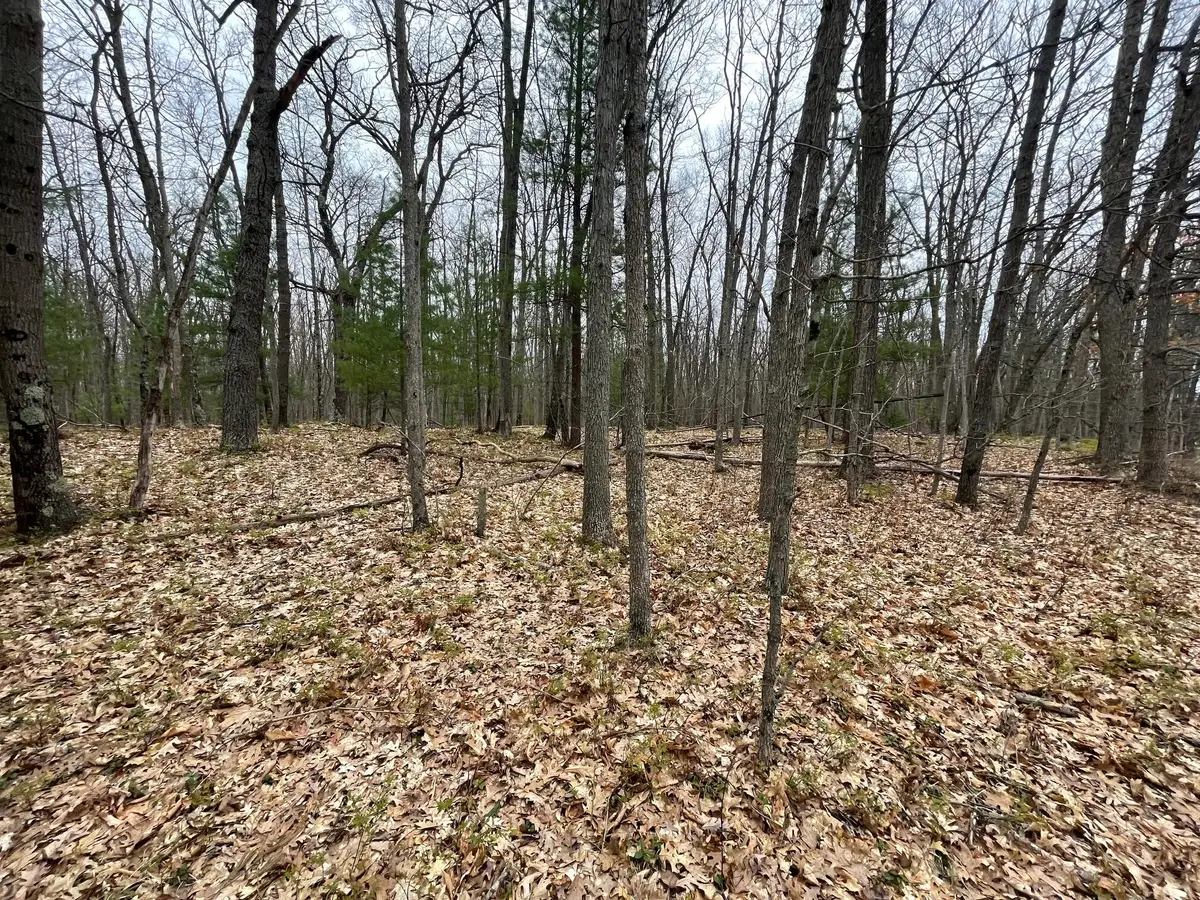 V/L Coates Highway, Brethren, MI 49619 - #1