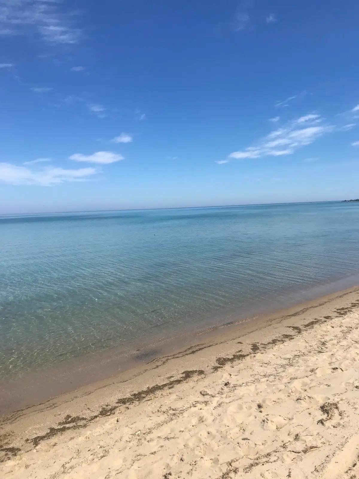 14201 N Cathead Bay, Northport, MI 49670 - #1