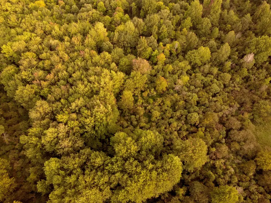 V/L Onondaga, Holt, MI 48842 - #2