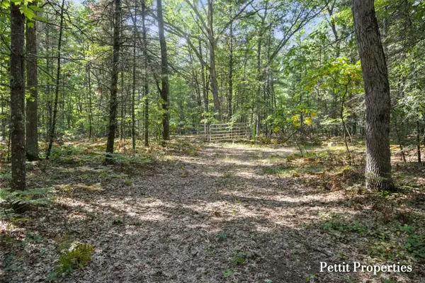v/l S 142nd Avenue, Rothbury, MI 49452
