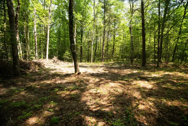 V/L 11.4A W Jefferson Road, Hart, MI 49420