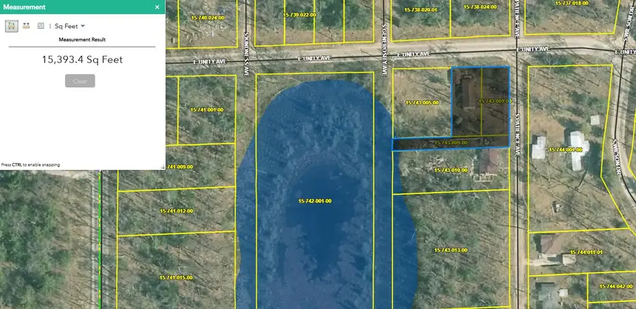 113 E Unity Drive, Idlewild, MI 49642 - #2