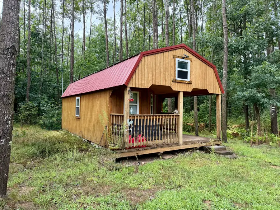 Peacock Road, Wellston, MI 49689 - #2