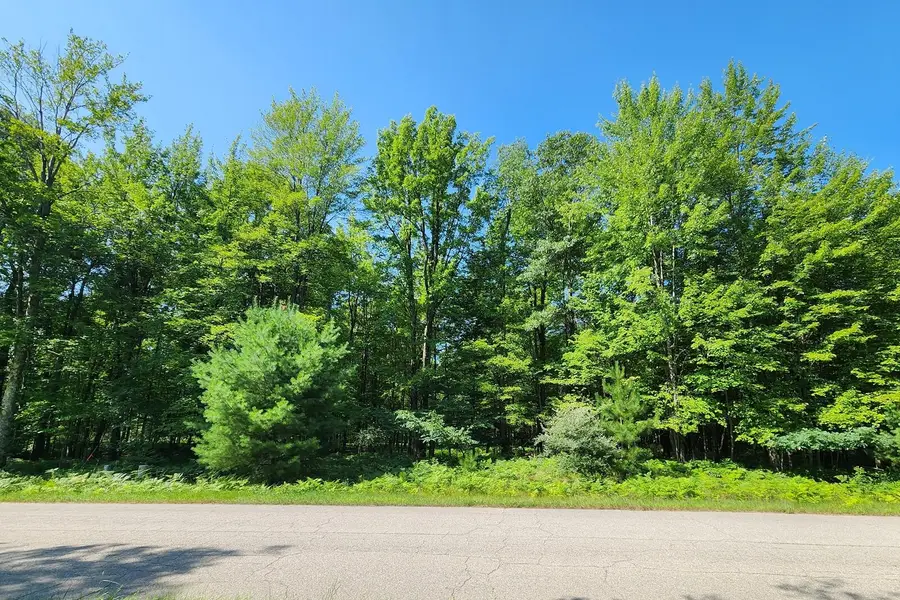 6127 Fawn Lake Drive, Canadian Lakes, MI 49346 - #2