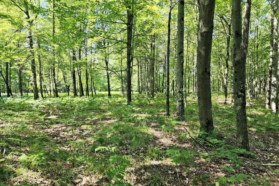 6127 Fawn Lake Drive, Canadian Lakes, MI 49346 - #3