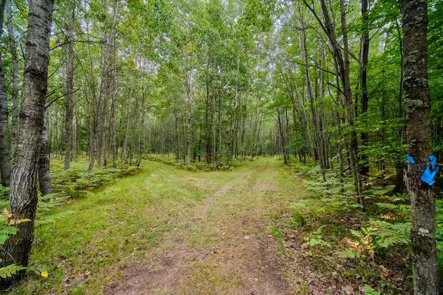 8089 Hunter's Ridge Trail, Copemish, MI 49625 - #2