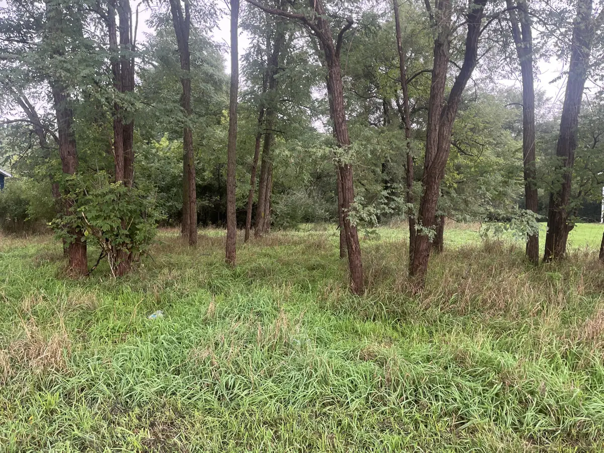 Brooklyn Road, Jackson, MI 49201 - #1