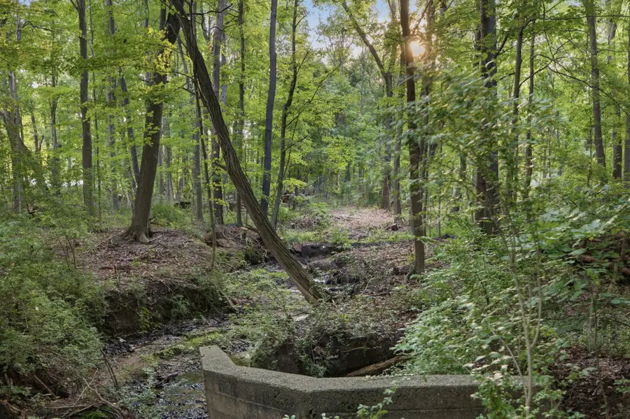 Lakeshore Road, Lakeside, MI 49116 - #2