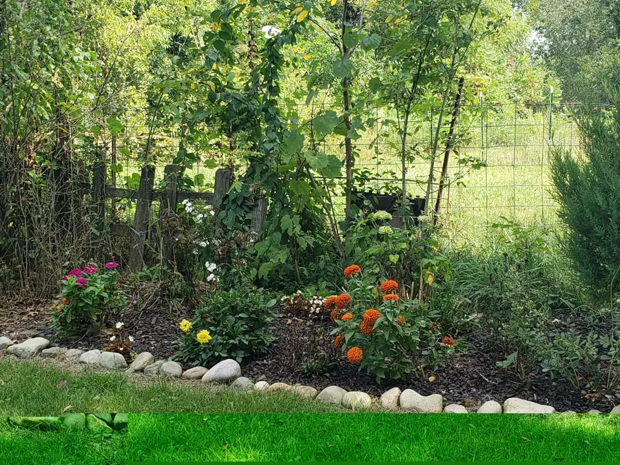 340 Albright Road, Coldwater, MI 49036 - #2
