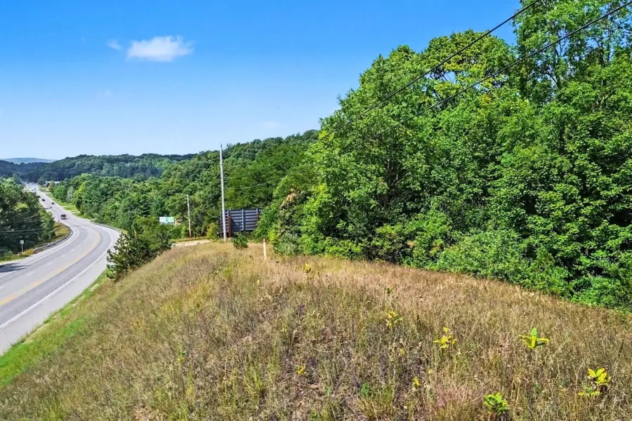 Parcel A, Honor Highway, Honor, MI 49640 - #3
