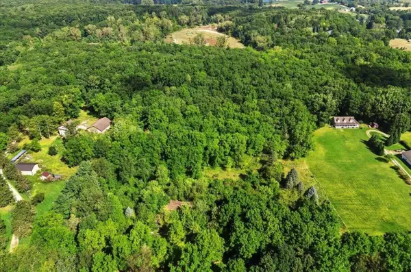 19200 Stonefield Drive, Manchester, MI 48158