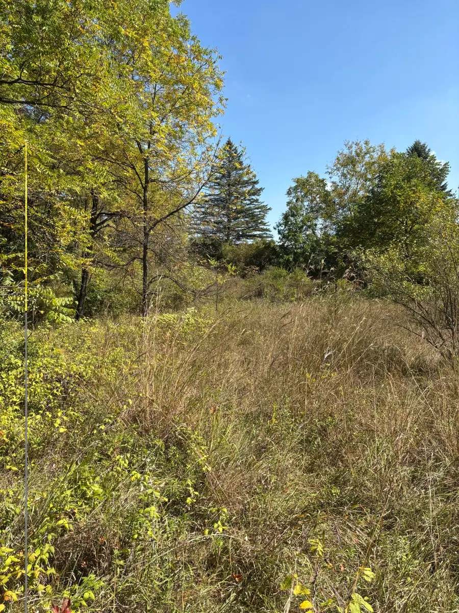19200 Stonefield Drive, Manchester, MI 48158 - #3