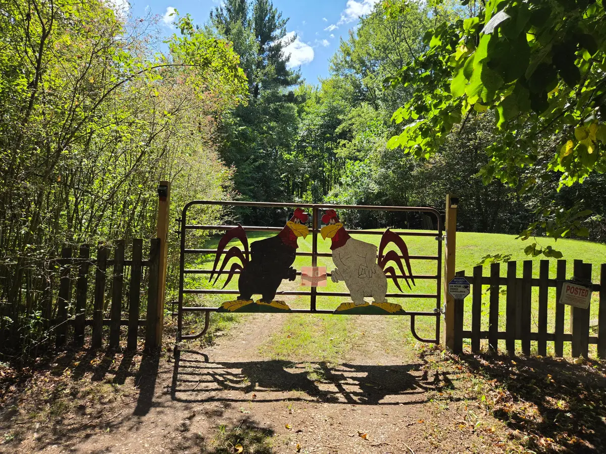 4272 Swan Lake Drive, Allegan, MI 49010 - #1