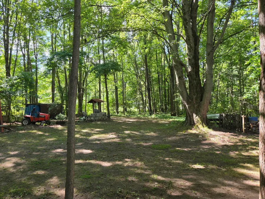 4272 Swan Lake Drive, Allegan, MI 49010 - #3