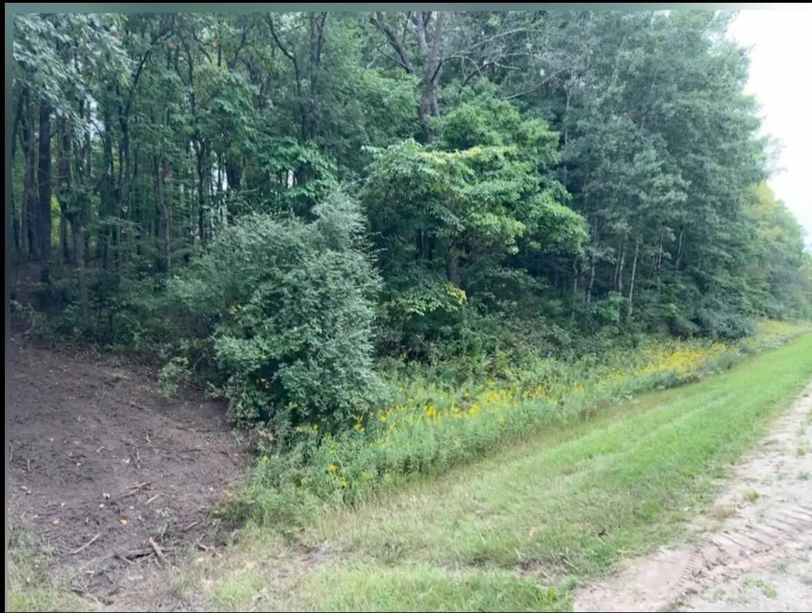 V/L E 88th Street, Howard City, MI 49329 - #1
