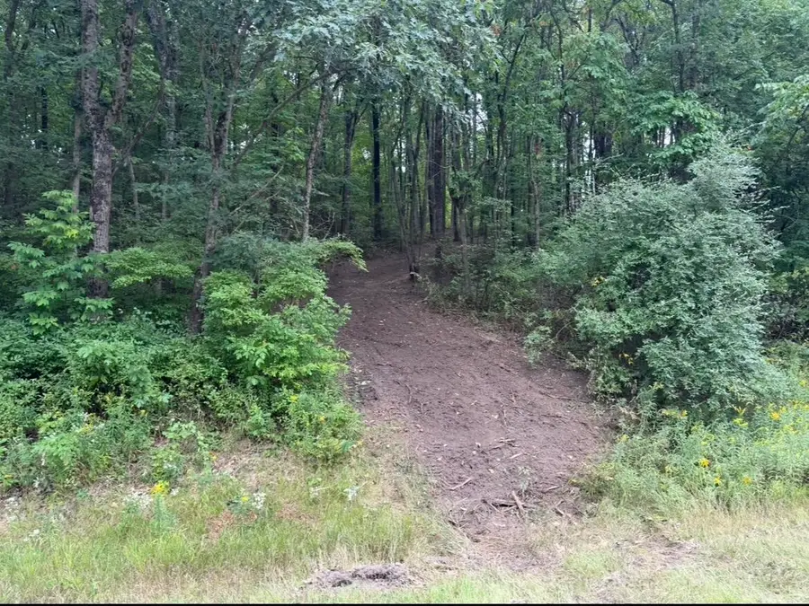 V/L E 88th Street, Howard City, MI 49329 - #3