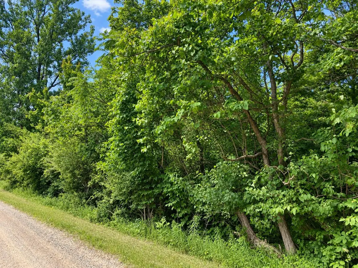 v/l 55th Street, Grand Junction, MI 49056 - #1