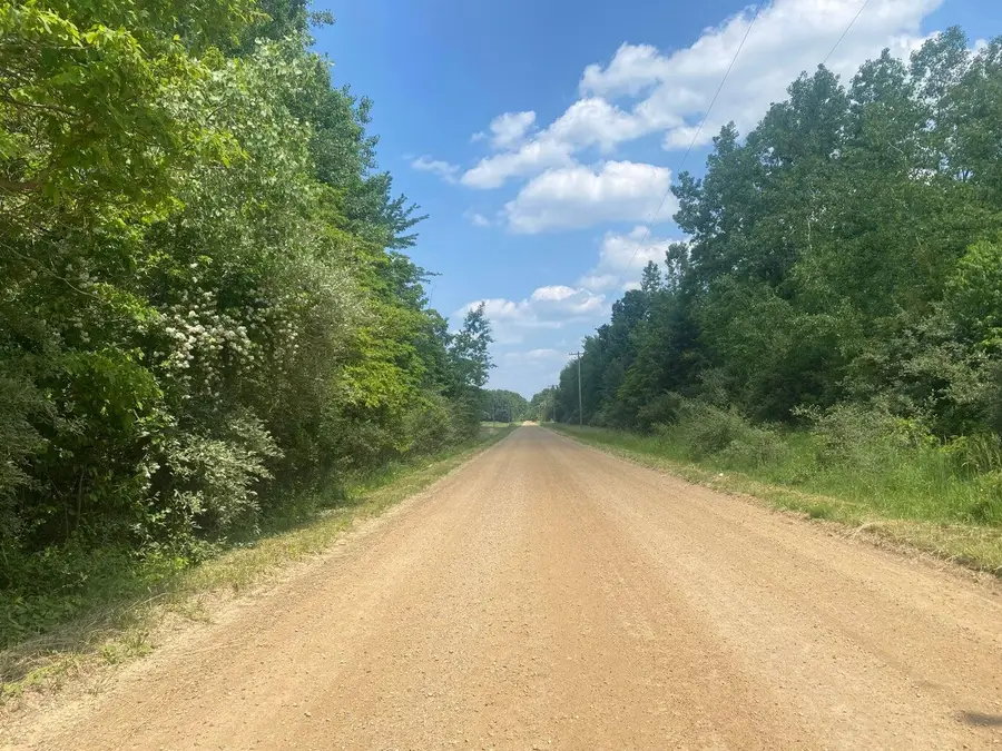 v/l 55th Street, Grand Junction, MI 49056 - #2