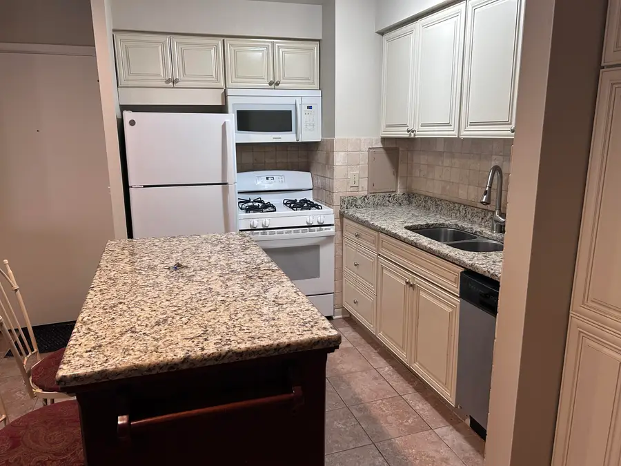1261 Island Drive #204, Ann Arbor, MI 48105 - #2